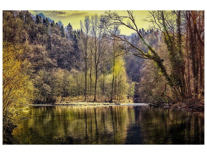 modern-4-piece-canvas-print-lake-in-the-forest