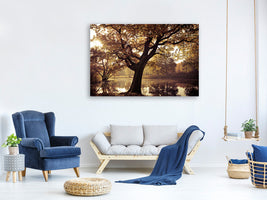 4-piece-canvas-print-landscape-park