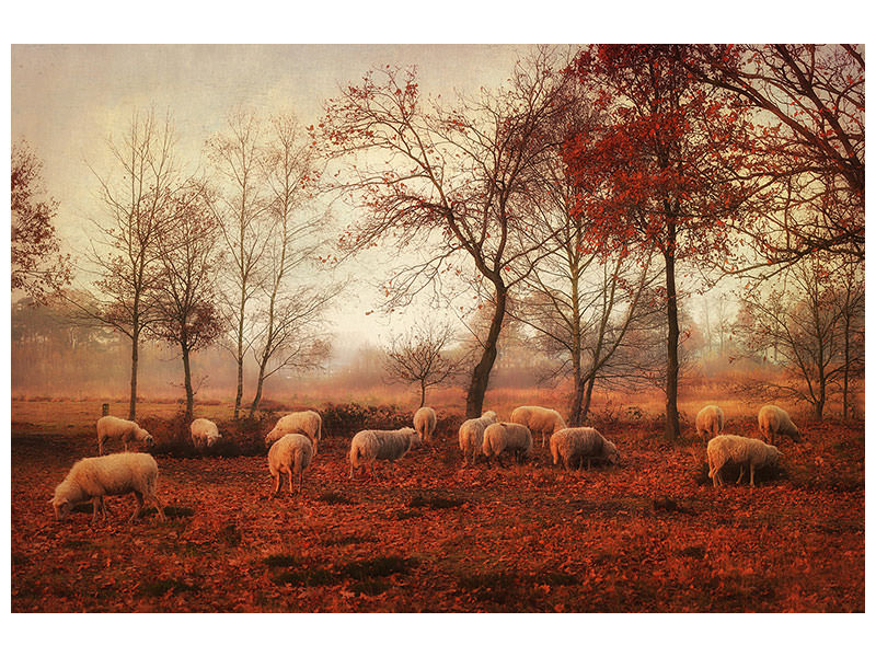 5-piece-canvas-print-last-days-of-autumn