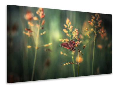modern-3-piece-canvas-print-last-light