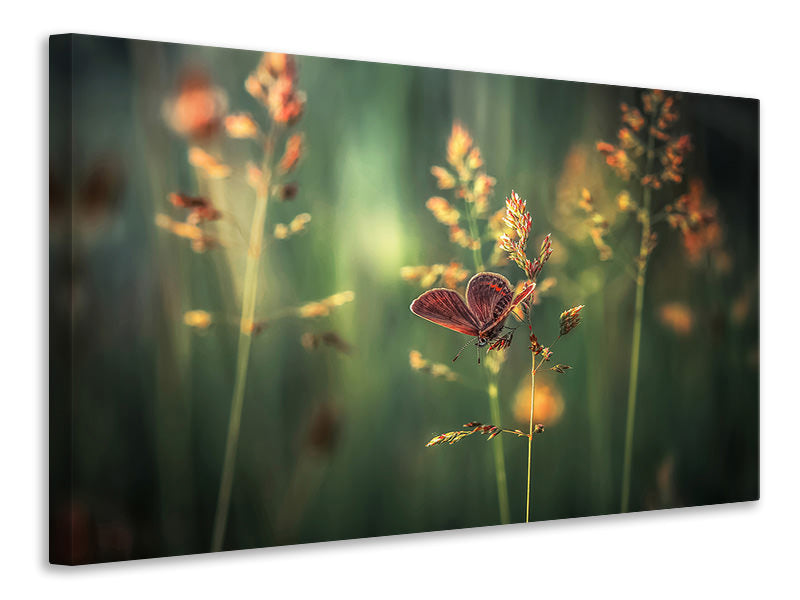 5-piece-canvas-print-last-light