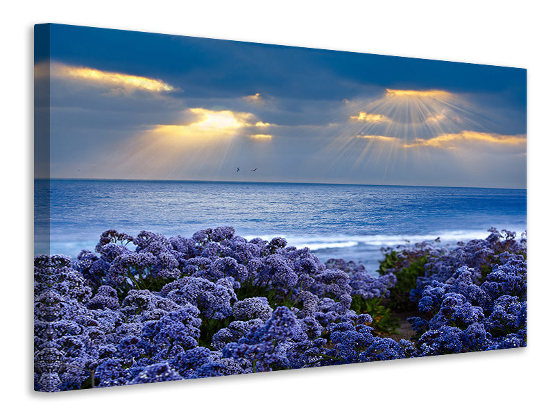4-piece-canvas-print-lavender-and-sea