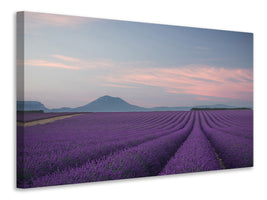 panoramic-3-piece-canvas-print-lavender-field