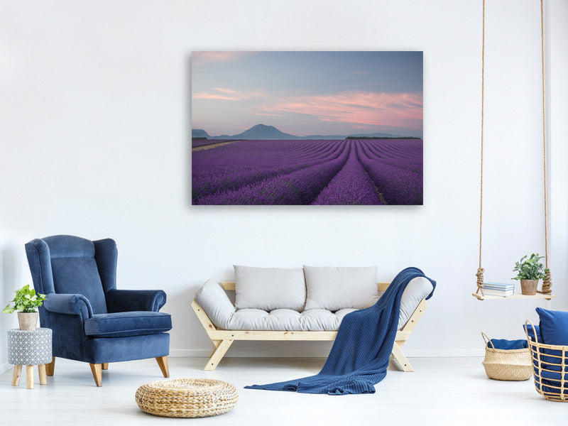 5-piece-canvas-print-lavender-field