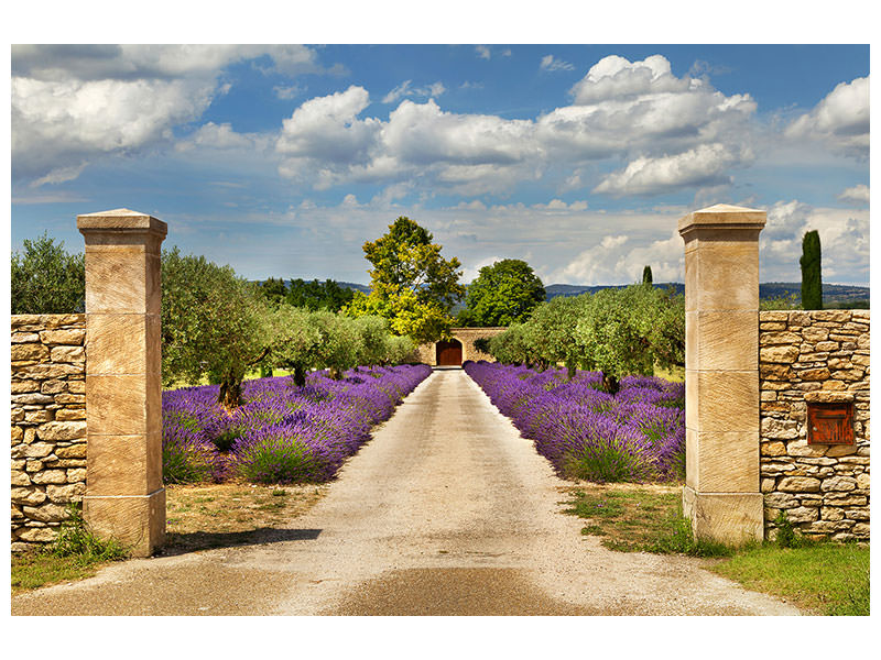 modern-4-piece-canvas-print-lavender-garden