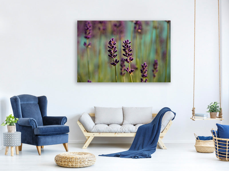 panoramic-3-piece-canvas-print-lavender-in-xl