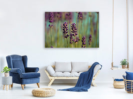 panoramic-canvas-print-lavender-in-xl