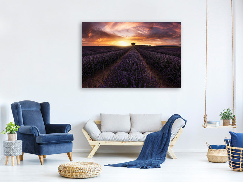 panoramic-3-piece-canvas-print-lavender-sunset