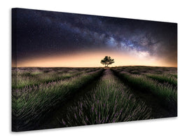 panoramic-3-piece-canvas-print-lavender-way