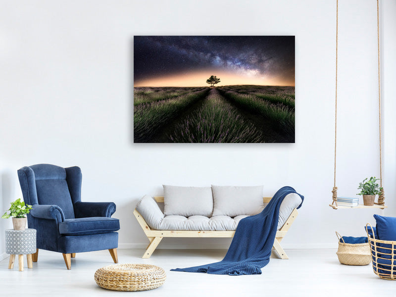 3-piece-canvas-print-lavender-way