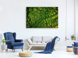 3-piece-canvas-print-leaf-of-a-hosta