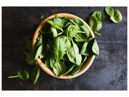 modern-3-piece-canvas-print-leaves-of-basil-iii