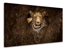3-piece-canvas-print-leopard-resting-on-a-tree-at-masai-mara