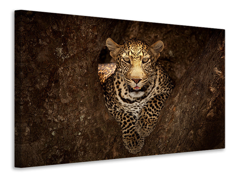 4-piece-canvas-print-leopard-resting-on-a-tree-at-masai-mara