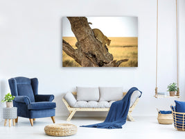 5-piece-canvas-print-leopard-serengheti-tanzania