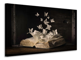 panoramic-canvas-print-lepidopterology