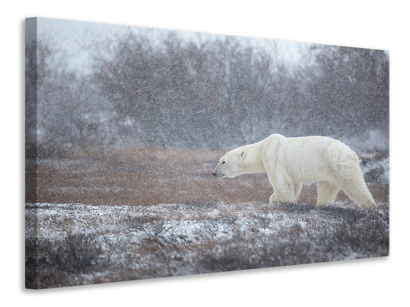 modern-4-piece-canvas-print-let-it-snow-a