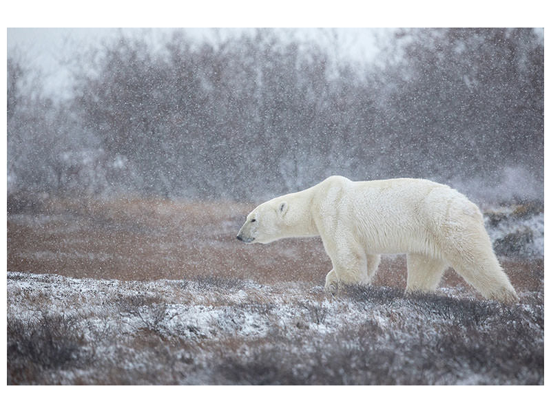 3-piece-canvas-print-let-it-snow-a