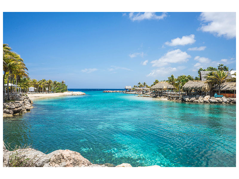 3-piece-canvas-print-life-in-a-lagoon