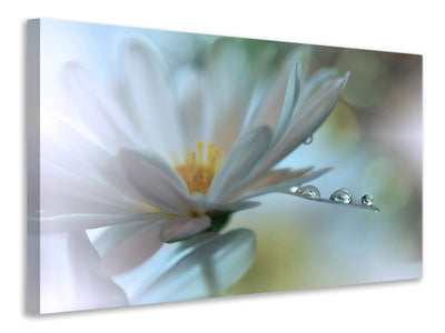 panoramic-3-piece-canvas-print-light-touch