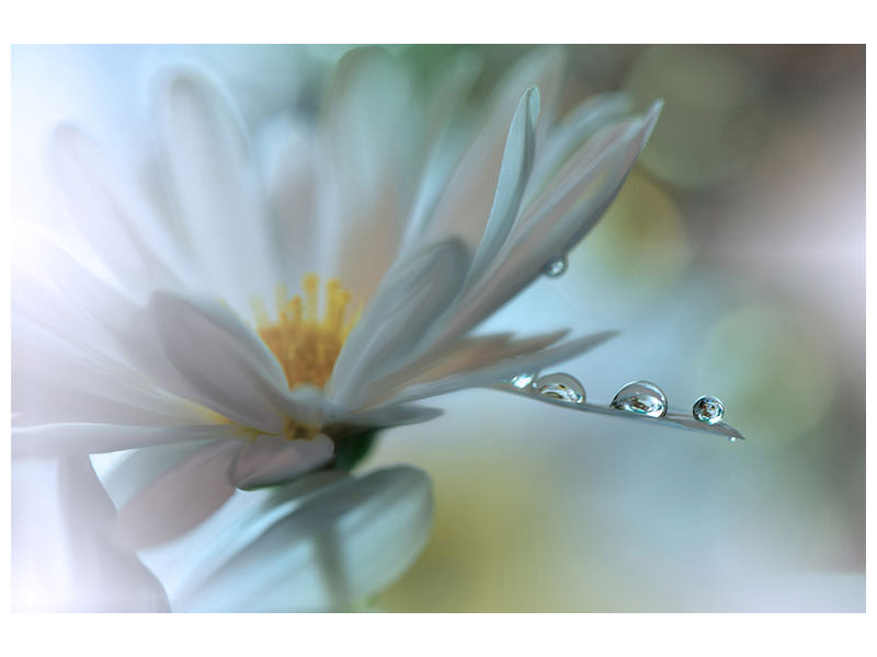 3-piece-canvas-print-light-touch