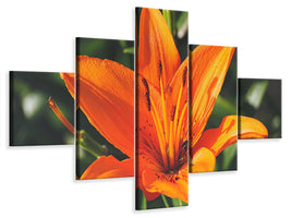 canvas-print-lilies-blossom-in-orange-xl
