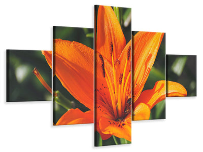 canvas-print-lilies-blossom-in-orange-xl