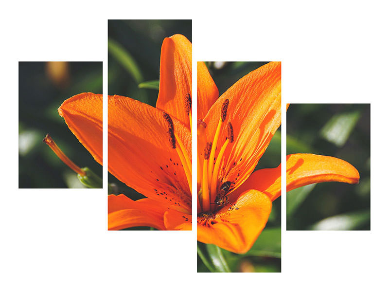 3-piece-canvas-print-lilies-blossom-in-orange-xl