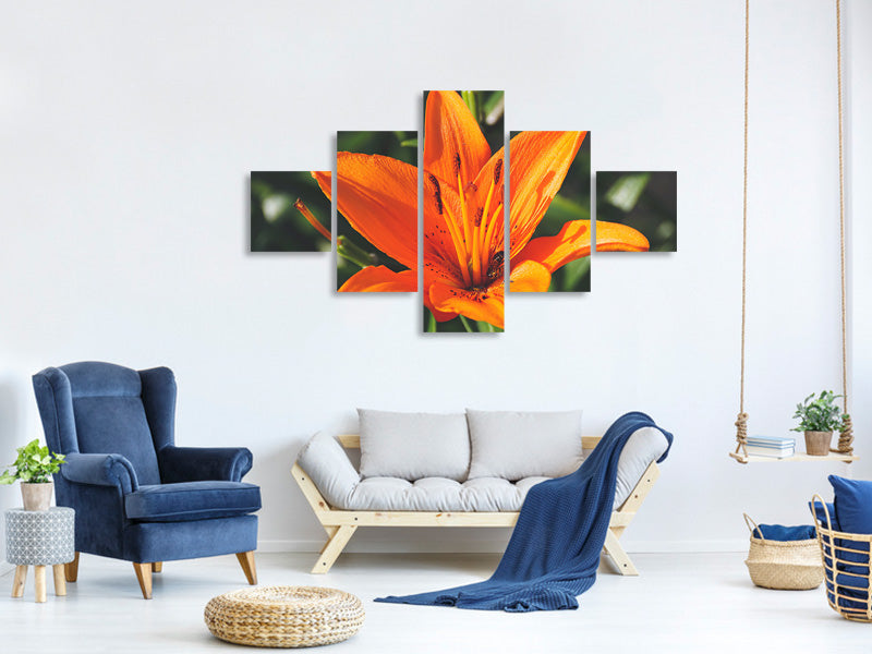 modern-3-piece-canvas-print-lilies-blossom-in-orange-xl