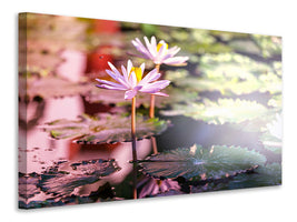modern-4-piece-canvas-print-lilies-in-pond