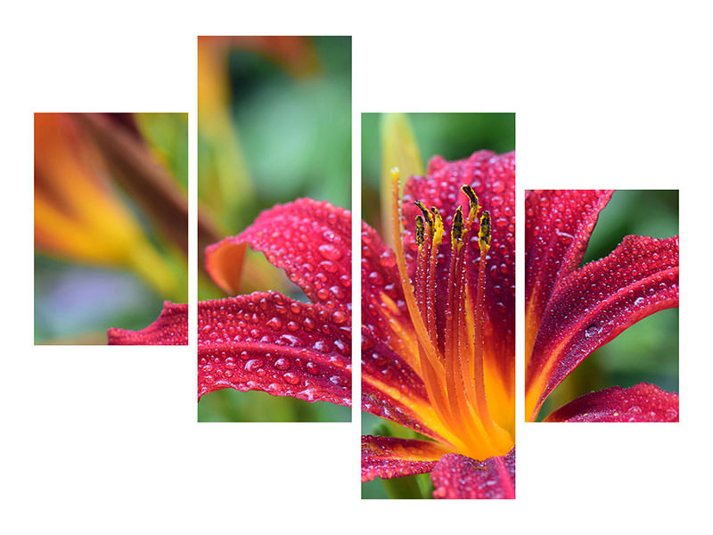 4-piece-canvas-print-lily-flower-in-pink-xl