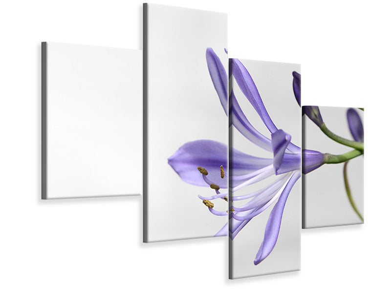 canvas-print-lily-flower-in-purple