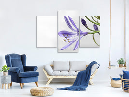 canvas-print-lily-flower-in-purple
