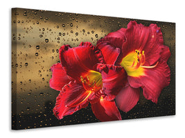 3-piece-canvas-print-lily-flowers-with-water-drops