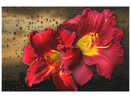 modern-4-piece-canvas-print-lily-flowers-with-water-drops