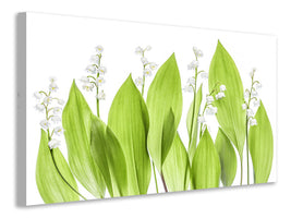5-piece-canvas-print-lily-of-the-valley