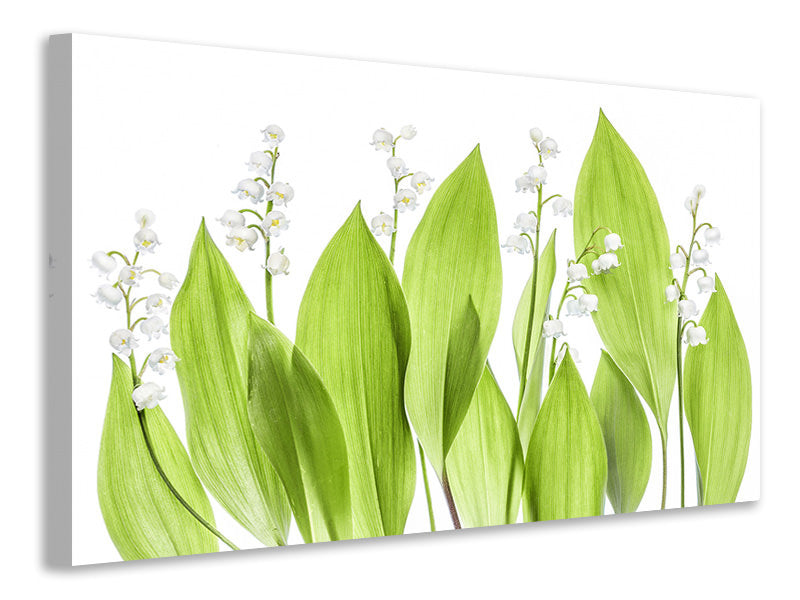 5-piece-canvas-print-lily-of-the-valley