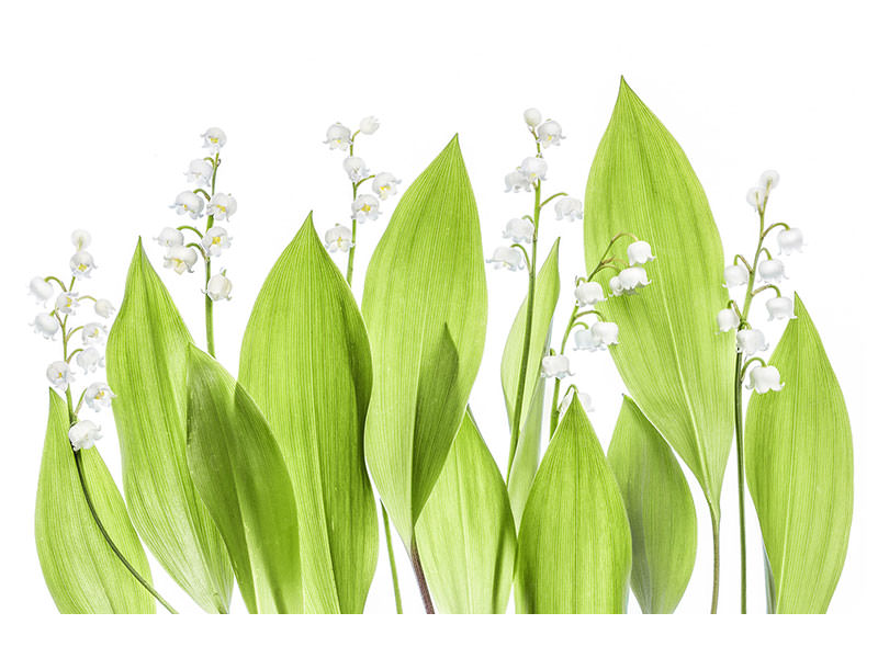 3-piece-canvas-print-lily-of-the-valley