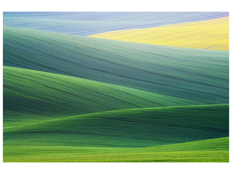 modern-4-piece-canvas-print-lines