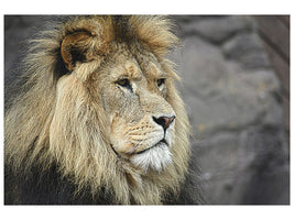 3-piece-canvas-print-lion-head-xl