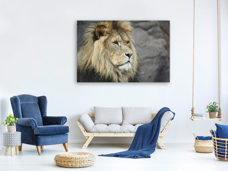 3-piece-canvas-print-lion-head-xl