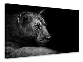 3-piece-canvas-print-lion