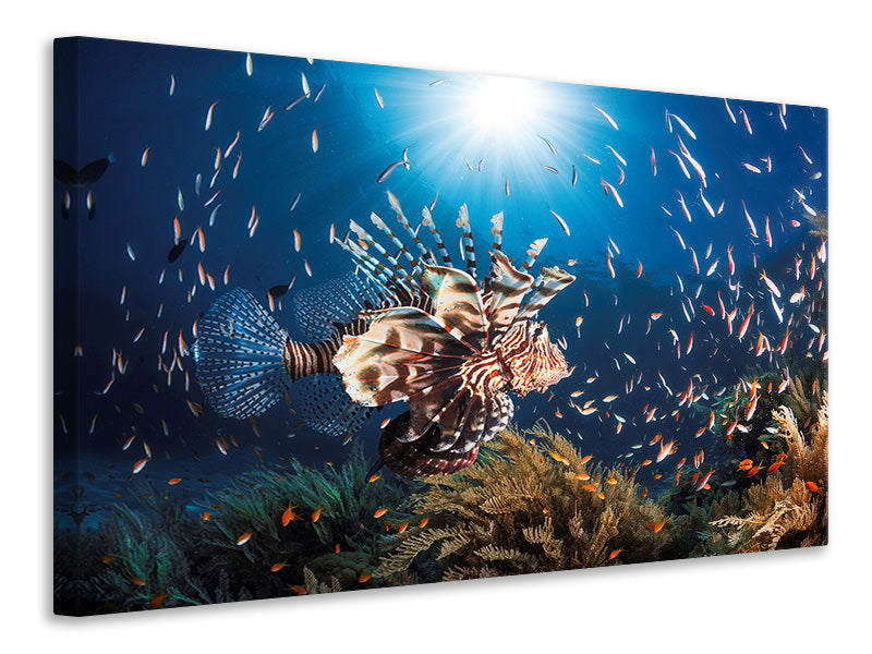 4-piece-canvas-print-lionfish