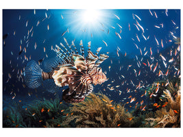 4-piece-canvas-print-lionfish