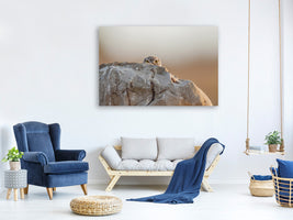 3-piece-canvas-print-little-owl