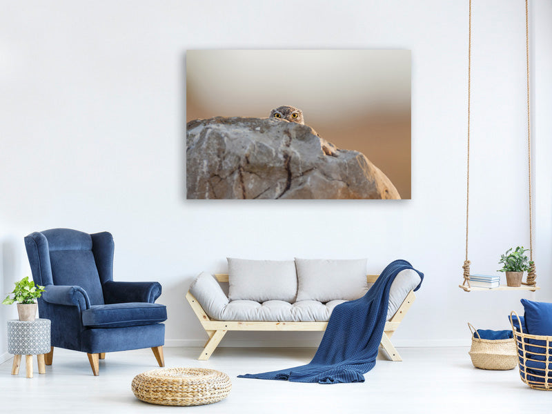 modern-3-piece-canvas-print-little-owl