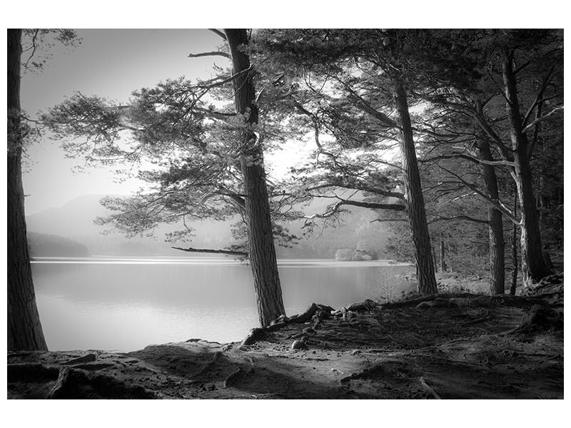 5-piece-canvas-print-loch-an-eilein
