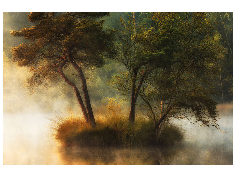 5-piece-canvas-print-lonely-island