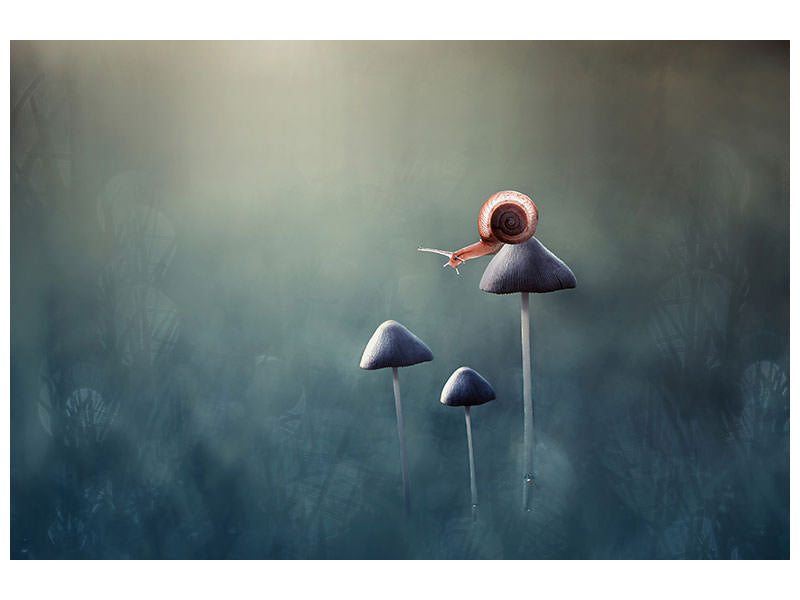 panoramic-3-piece-canvas-print-lonely
