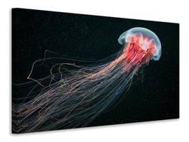 4-piece-canvas-print-longtail
